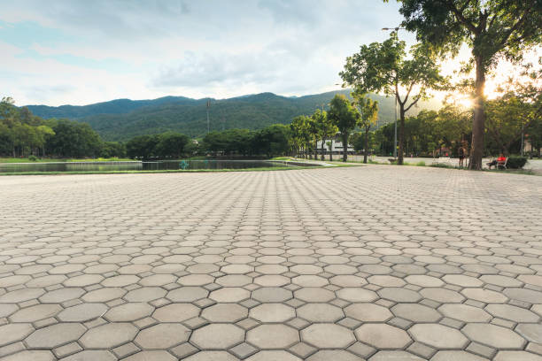 Best Brick Driveway Pavers  in Landrum, SC